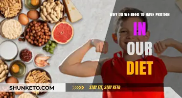 Protein Power: Essential Dietary Building Blocks for Health