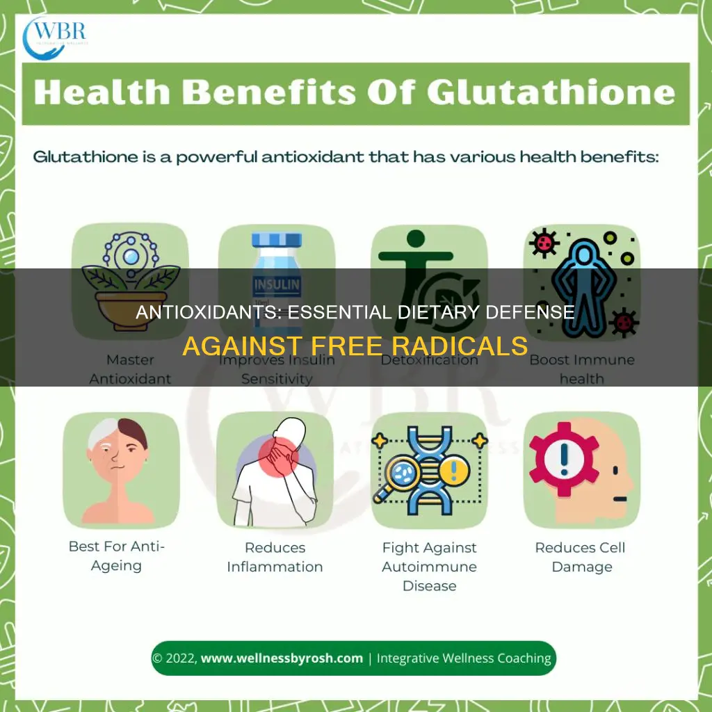 why do we need to include antioxidants in our diets
