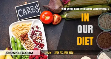 Carbohydrates: Essential Energy Source for Your Body