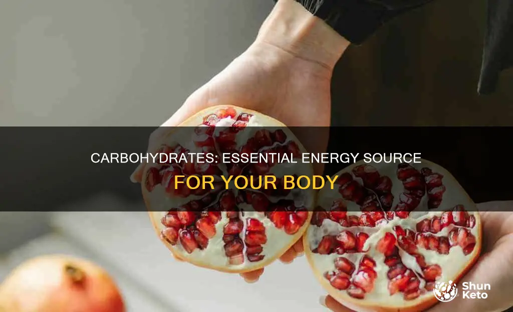why do we need to include carbohydrate in our diet