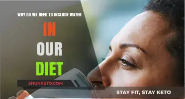 Hydration: The Key to a Healthy Diet