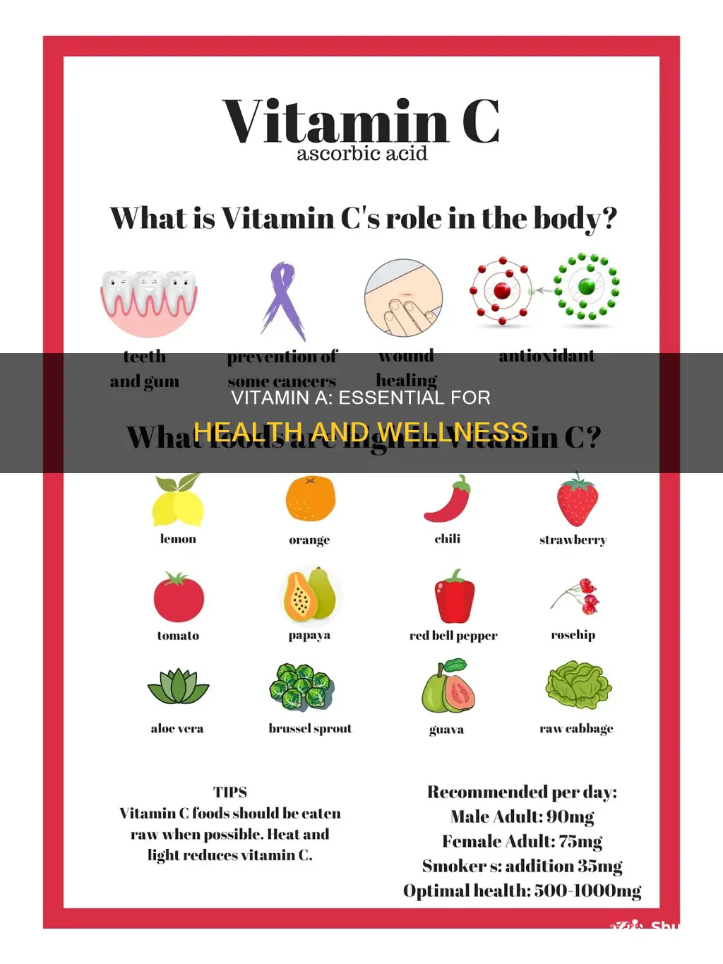 why do we need vitamin a in our diet