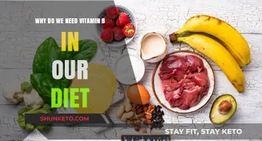 Vitamin B: Essential for a Healthy, Balanced Diet