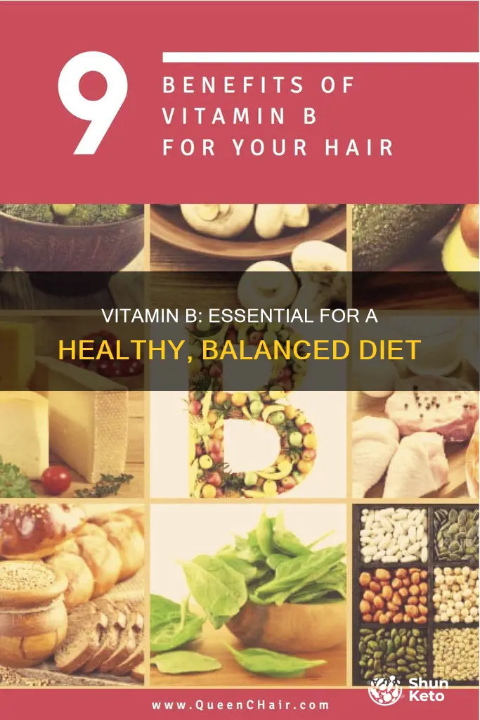 why do we need vitamin b in our diet
