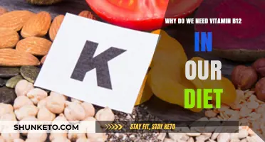 Vitamin B12: Essential for a Healthy Diet and Body