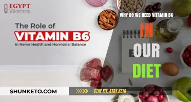 Vitamin B6: Essential for a Healthy, Balanced Diet