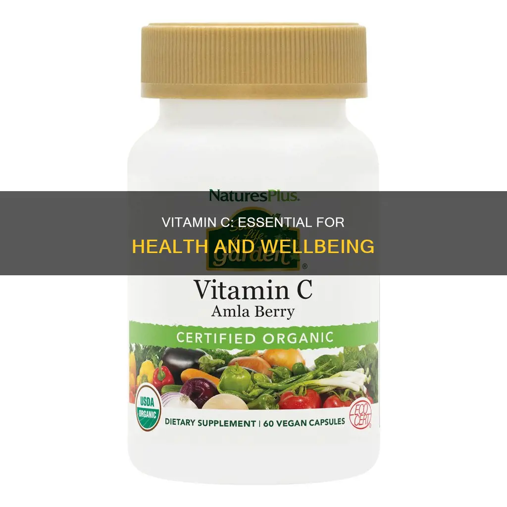 why do we need vitamin c in our diet