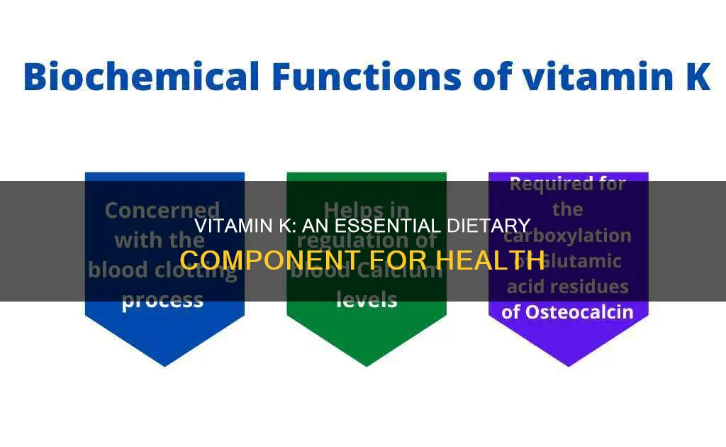 why do we need vitamin k in our diet