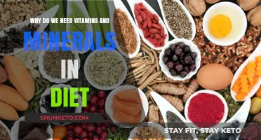 Vitamins and Minerals: Essential Dietary Components