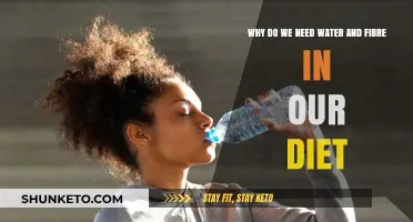 Water and Fibre: Essential Dietary Companions