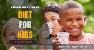 Water's Vital Role in a Healthy Diet