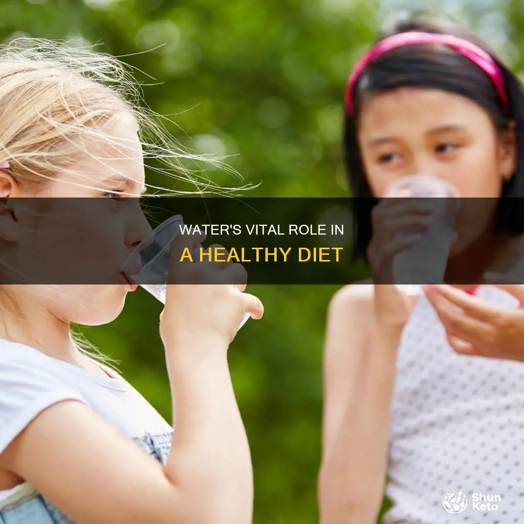 why do we need water in our diet for kids