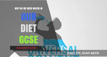 Hydration: Essential to Life and Health