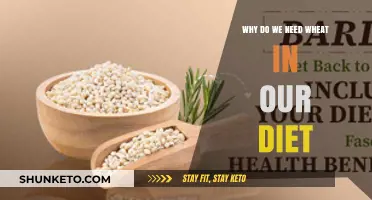 Wheat: Essential Dietary Component for Nutrition and Health