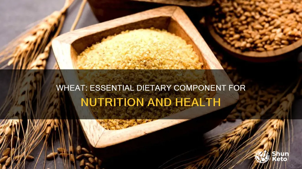 why do we need wheat in our diet