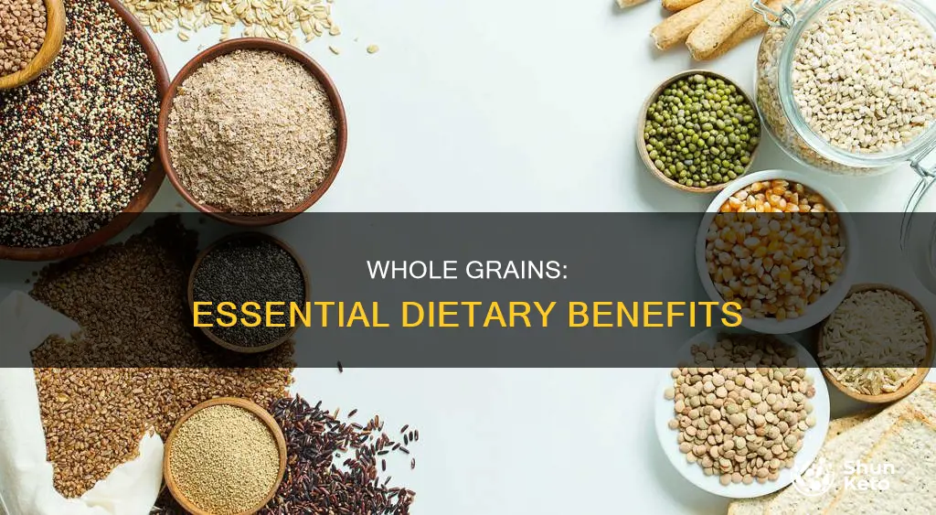 why do we need whole grains in your diet