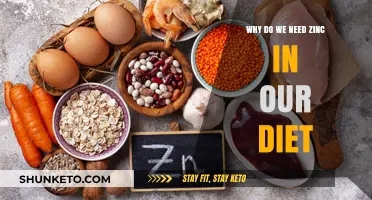 Zinc: Essential Mineral for a Healthy Diet