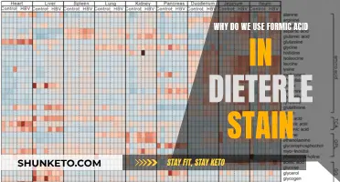 Formic Acid's Role in Dieterle Stain Perfection