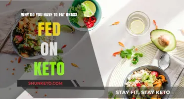 Grass-Fed Keto: Essential Benefits for Optimal Health and Weight Loss