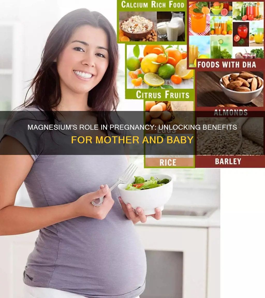 why do you increase magnesium in a pregnant woman diet