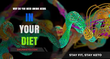 Amino Acids: Essential Dietary Building Blocks for Health