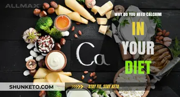 Calcium-Rich Diet: Building Strong Bones and Teeth