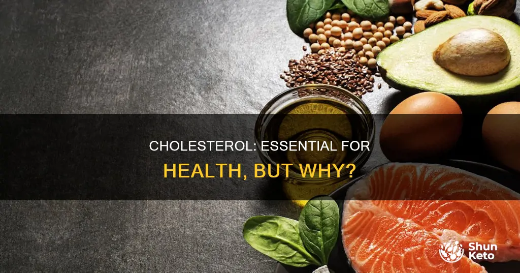 why do you need cholesterol in your diet