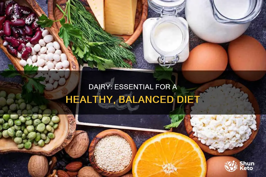 why do you need dairt in your diet