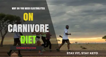 Electrolytes: Carnivore Diet's Secret Weapon