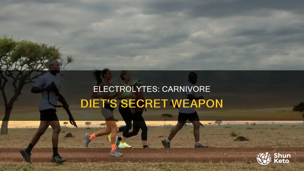 why do you need electrolytes on carnivore diet