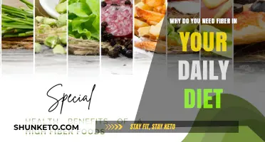 Fiber: Your Daily Diet's Superhero