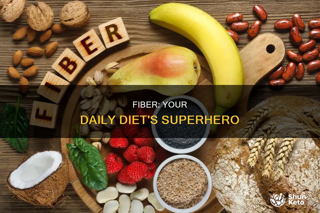 why do you need fiber in your daily diet