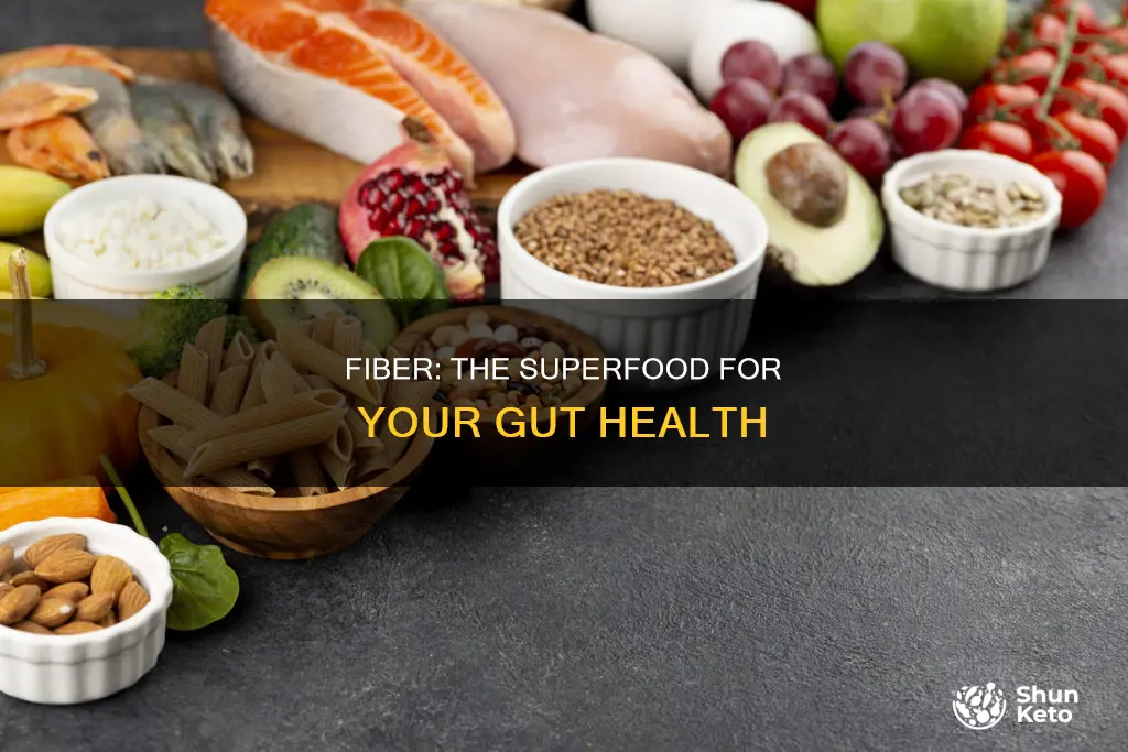why do you need fiber in your diet
