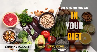 Folic Acid: Essential for a Healthy Diet
