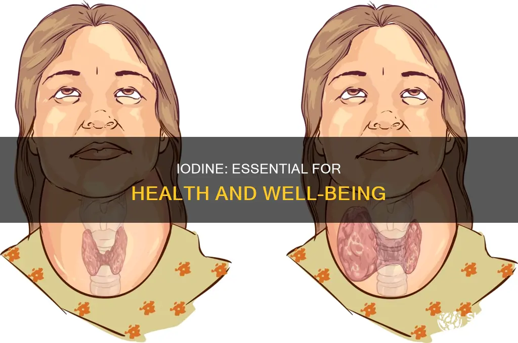 why do you need iodine in your diet