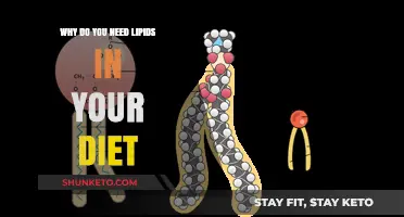 Lipids: Essential Dietary Components for Health