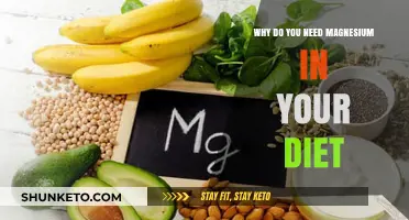 Magnesium: An Essential Mineral for Your Health