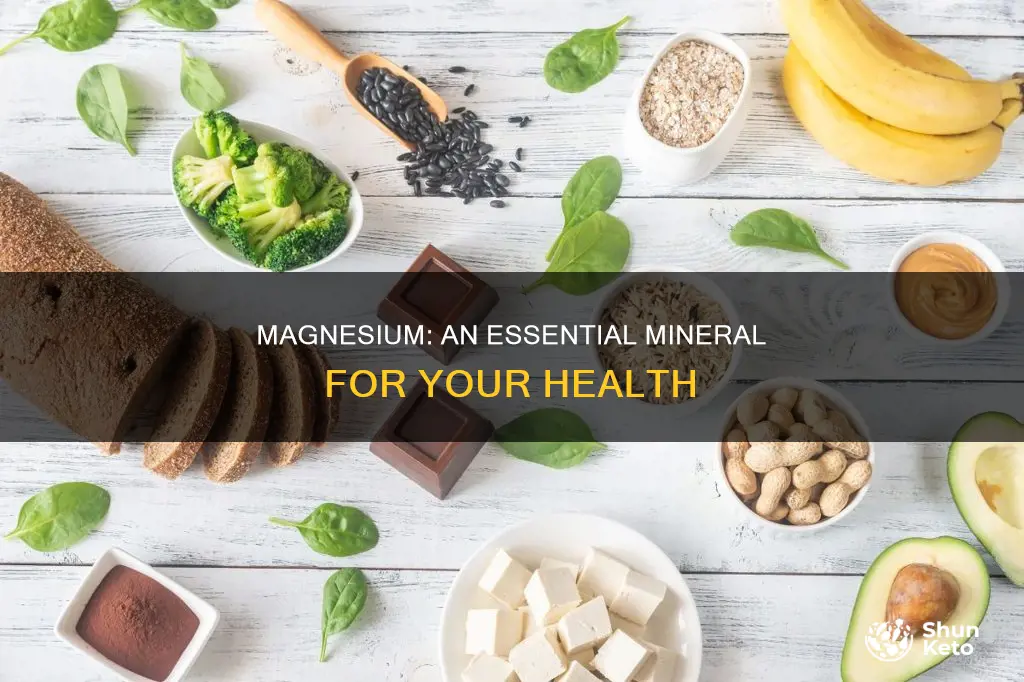 why do you need magnesium in your diet