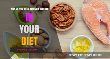 Marcomolecules: Essential Dietary Components for Optimal Health