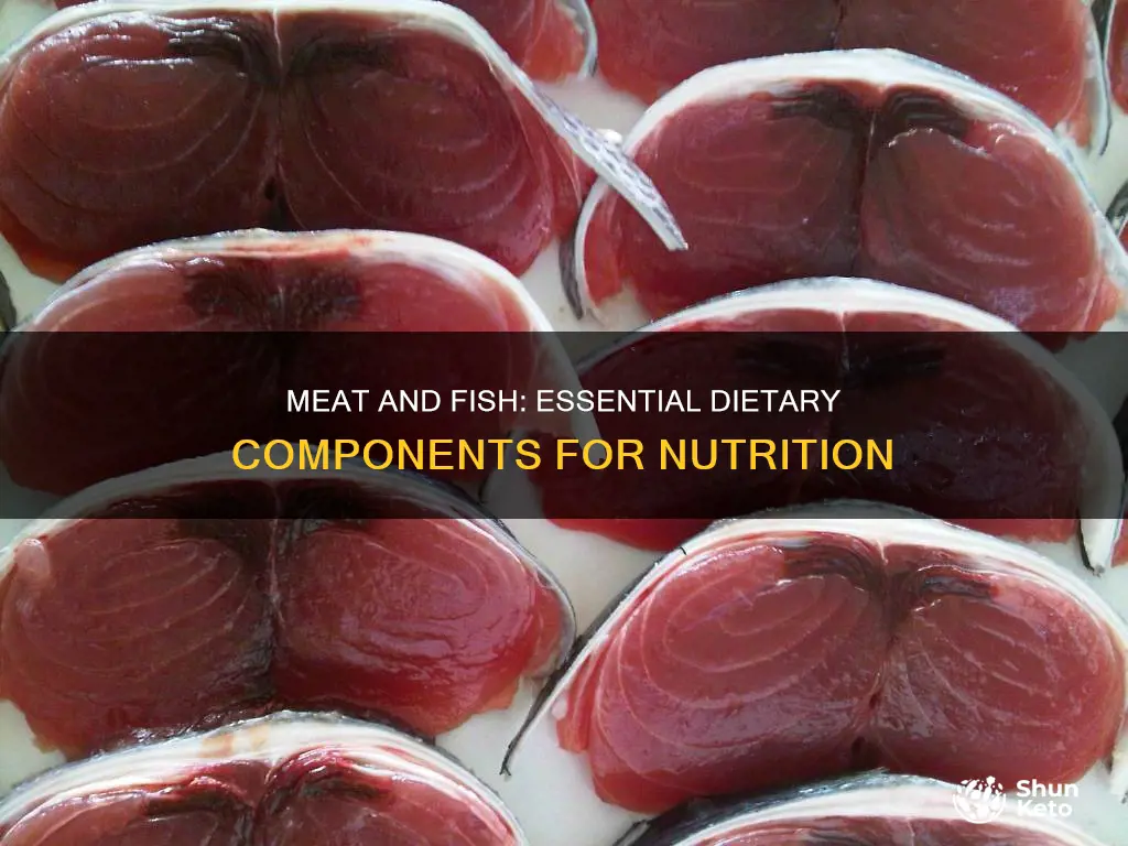 why do you need meat and fish in your diet