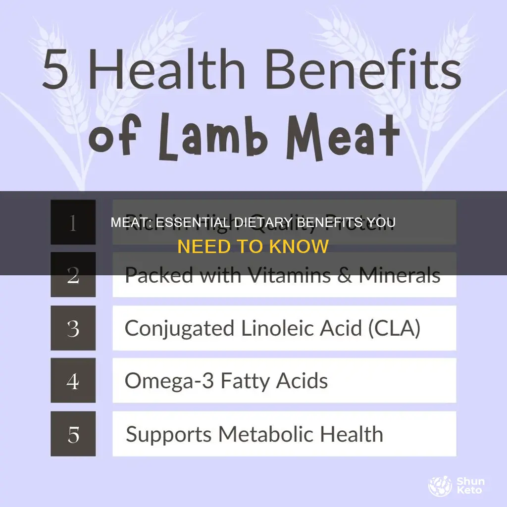why do you need meat in your diet