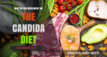 Meat on Candida Diet: The Ultimate Protein Source