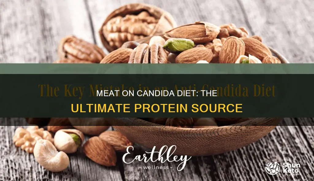 why do you need meat on the candida diet
