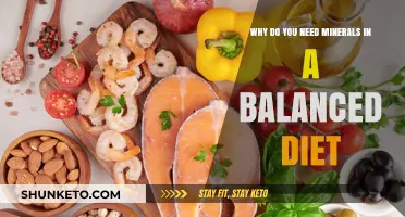 Minerals: Essential for a Healthy, Balanced Diet