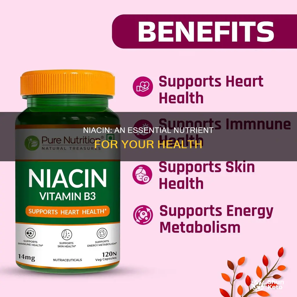 why do you need niacin in your diet