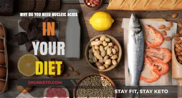 Nucleic Acids: Essential Dietary Components for Healthy Living