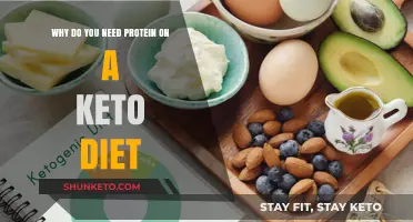 Why Protein is Essential for Success on a Keto Diet
