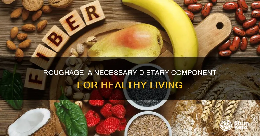 why do you need roughage in your diet