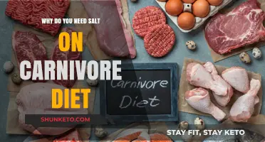 Carnivore Diet: Why Salt is Essential