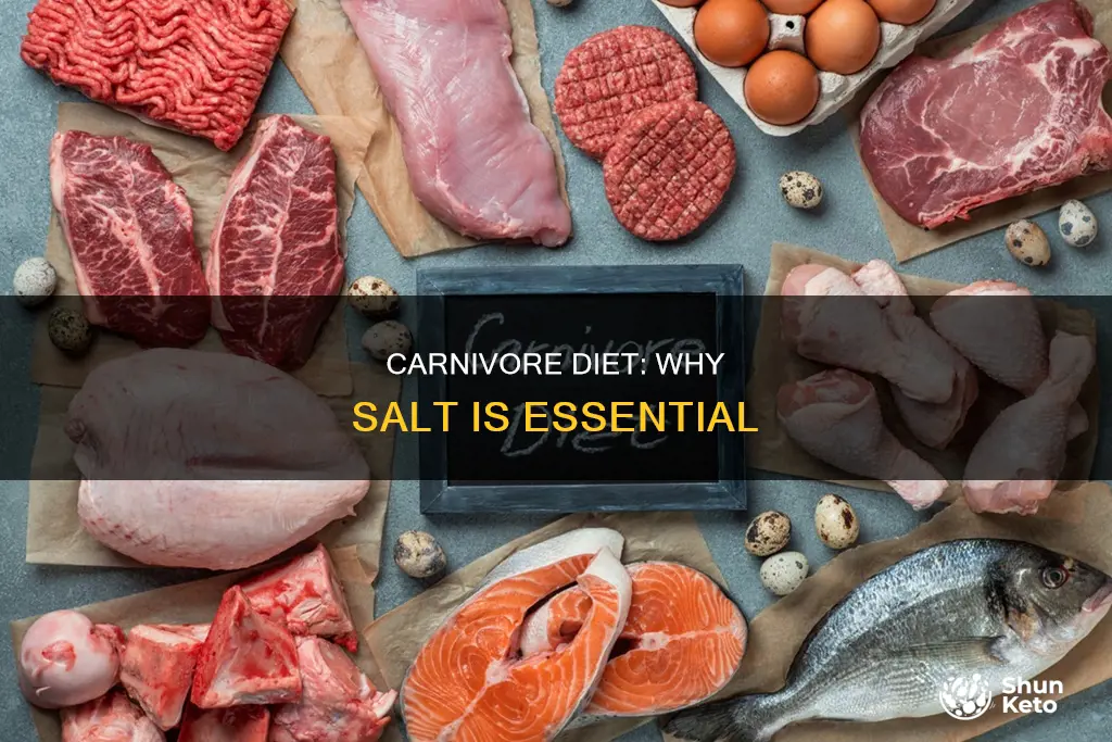 why do you need salt on carnivore diet